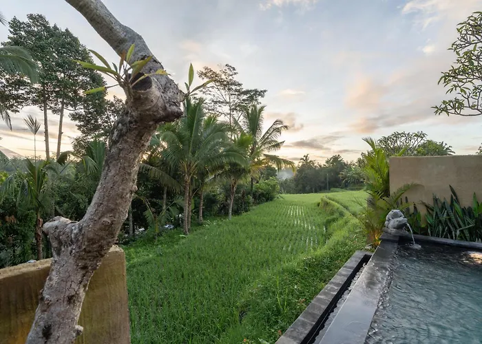 The Patra Sebatu By Dhananjaya Hospitality