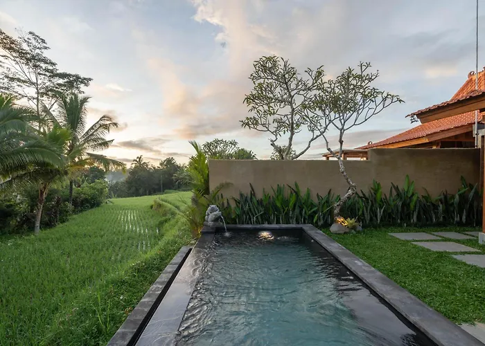 The Patra Sebatu By Dhananjaya Hospitality