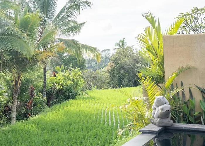 ロッジ The Patra Sebatu By Dhananjaya Hospitality *